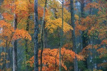 autumn, Mineral Mounds State Park, Kentucky Scenic, fall, foliage, 